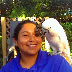 Meet your Posher, Yesenia